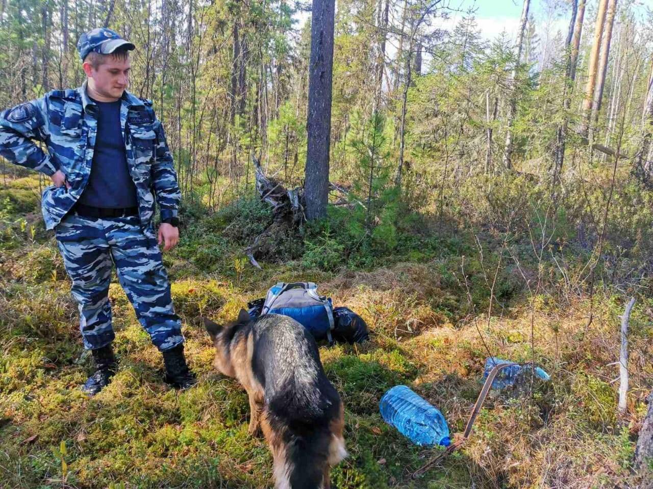 Поиски Сафронова Сергея Владимировича
