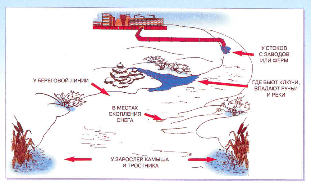 Опасные места у водоемов
