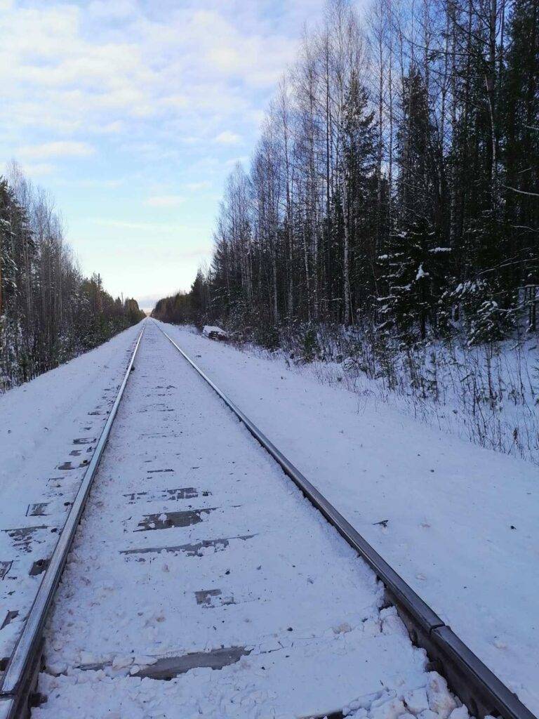 Поиски бойко е.в 65