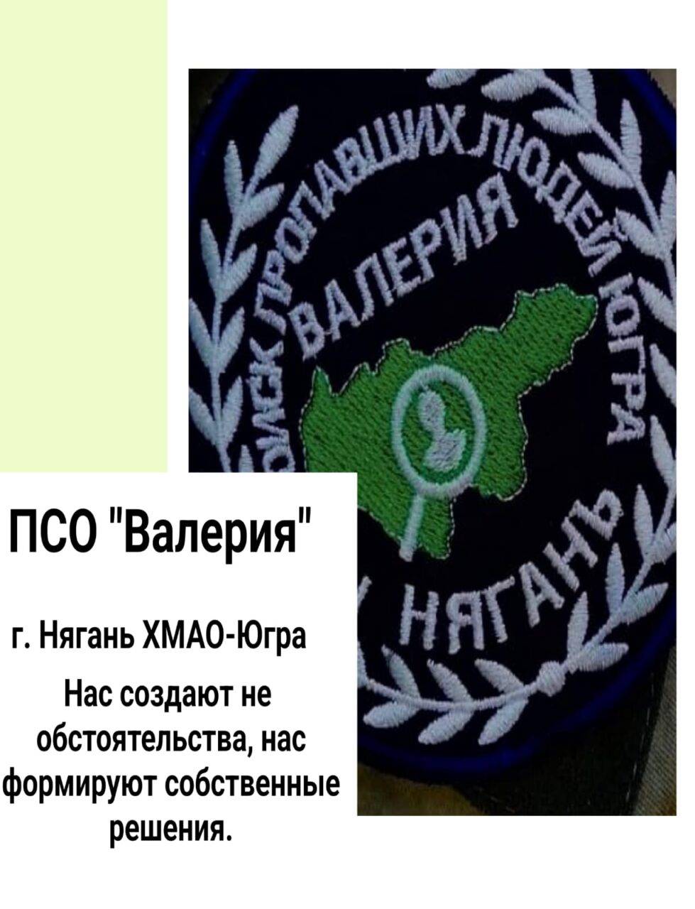 Изображение — путь добровольчества