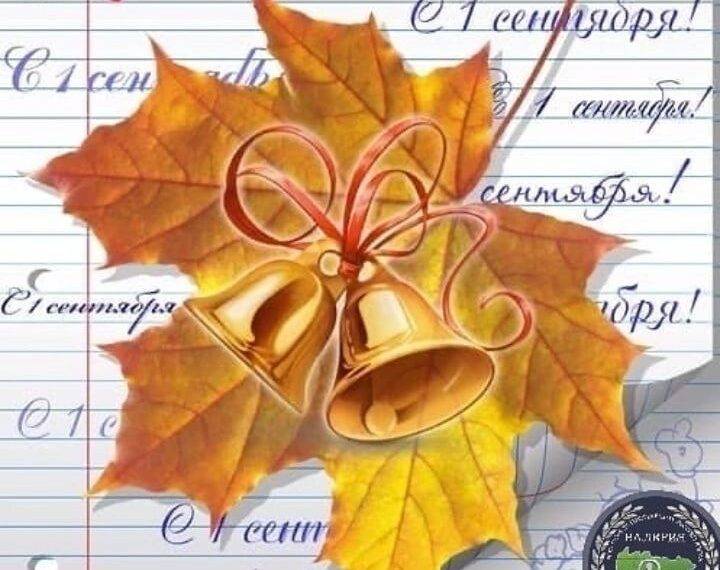 Школьные годы