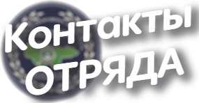Kontaktynew