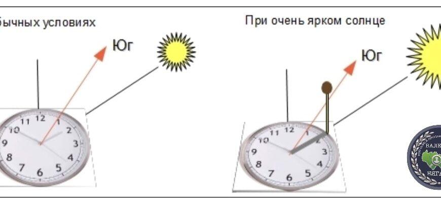 Необходимые в лесу вещи