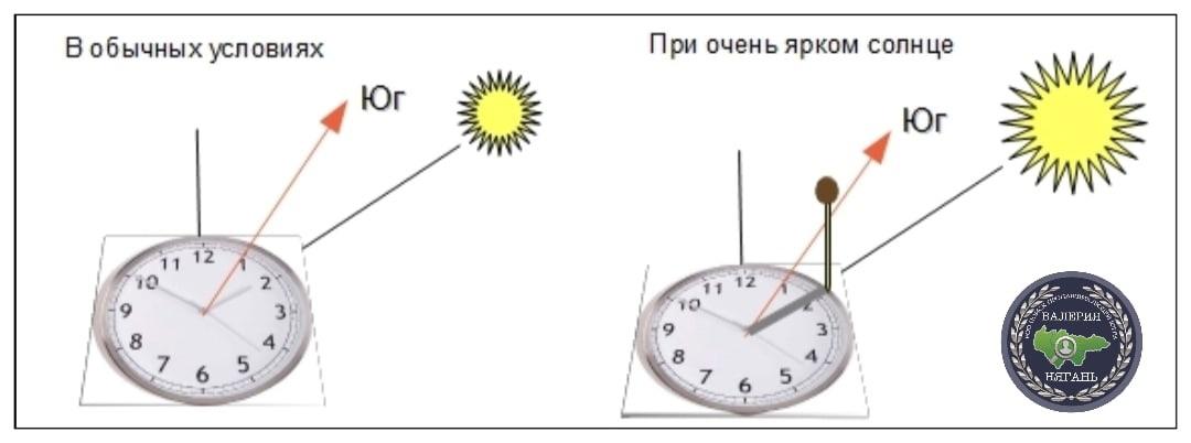 Необходимые в лесу вещи