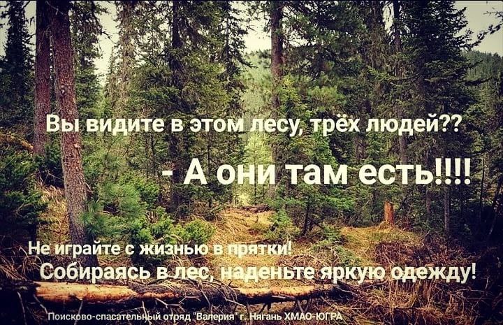 ПСО "Валерия" — собираясь в лес, наденьте яркую одежду