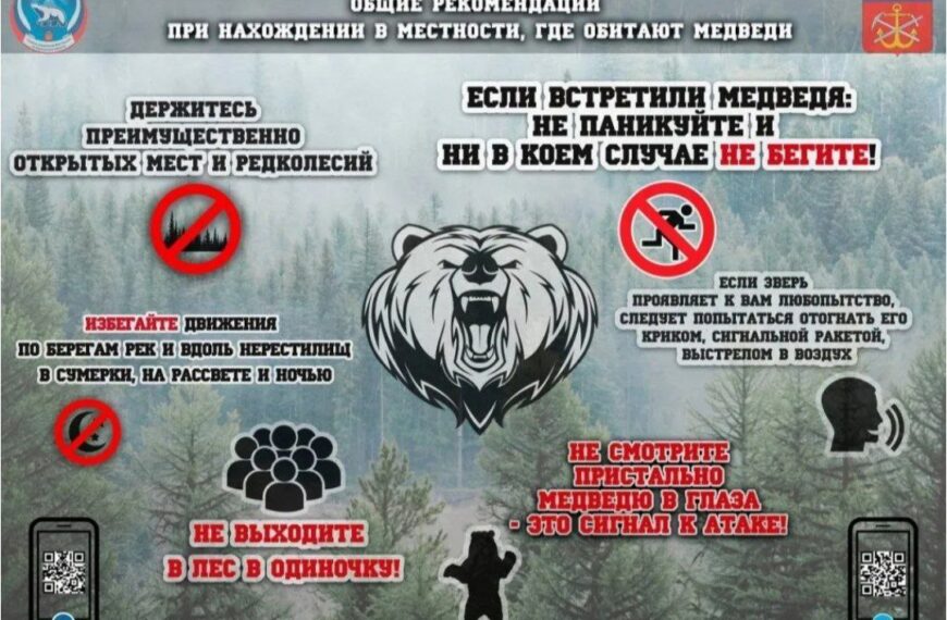 Общие рекомендации